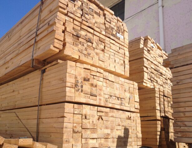 澳松圖片/澳松樣板圖 (3)