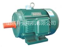 YE2系列低壓大功率電動機圖片/YE2系列低壓大功率電動機樣板圖 (2)