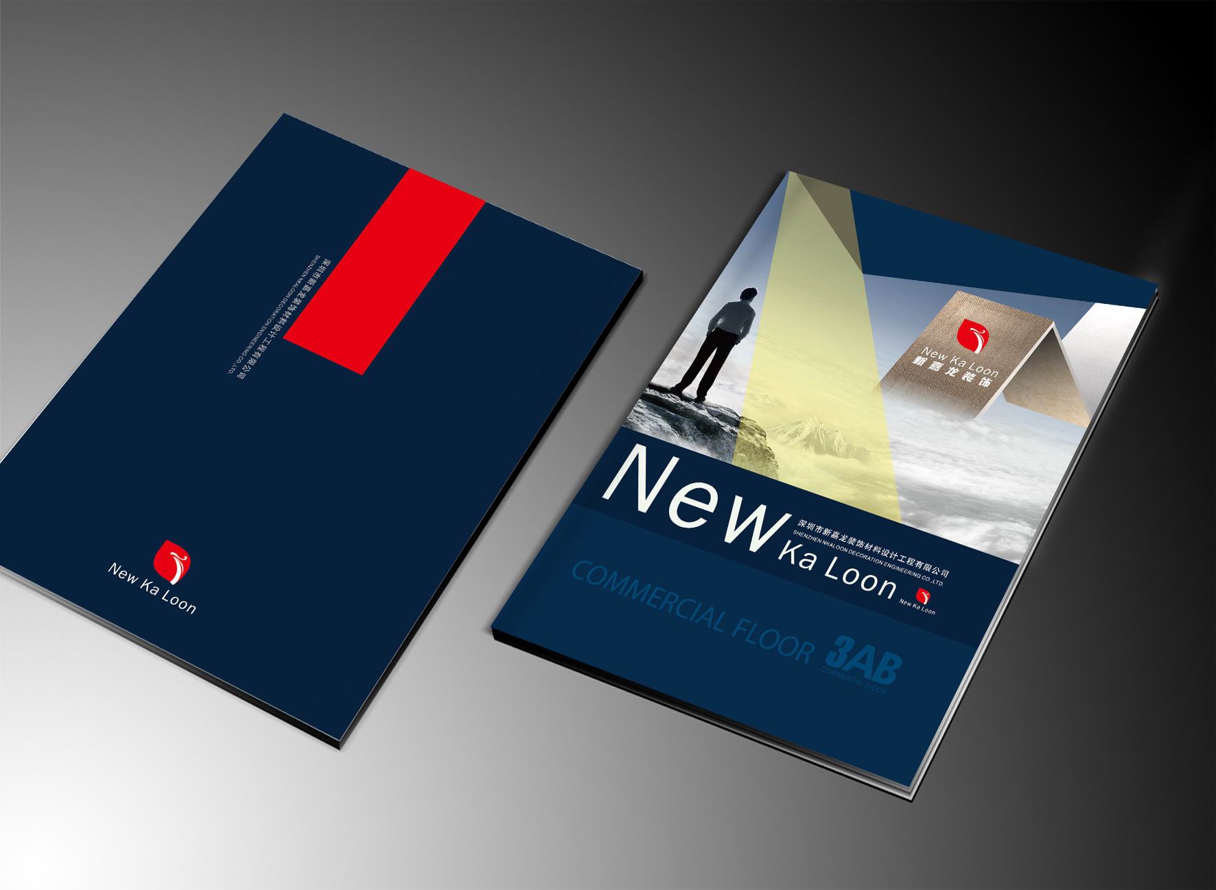 廠家專業(yè)生產各種高低檔包裝禮盒，牛皮紙箱，白卡紙箱，瓦楞紙箱， 手提袋 廠家專業(yè)生產各種高低檔包裝禮盒