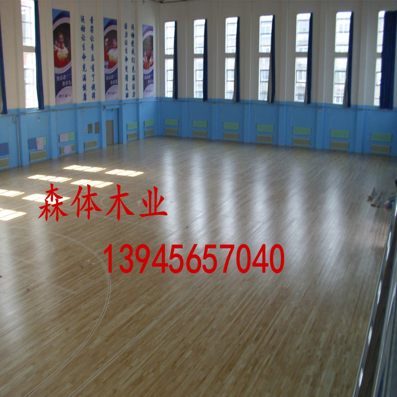 羽毛球圖片/羽毛球樣板圖 (1)