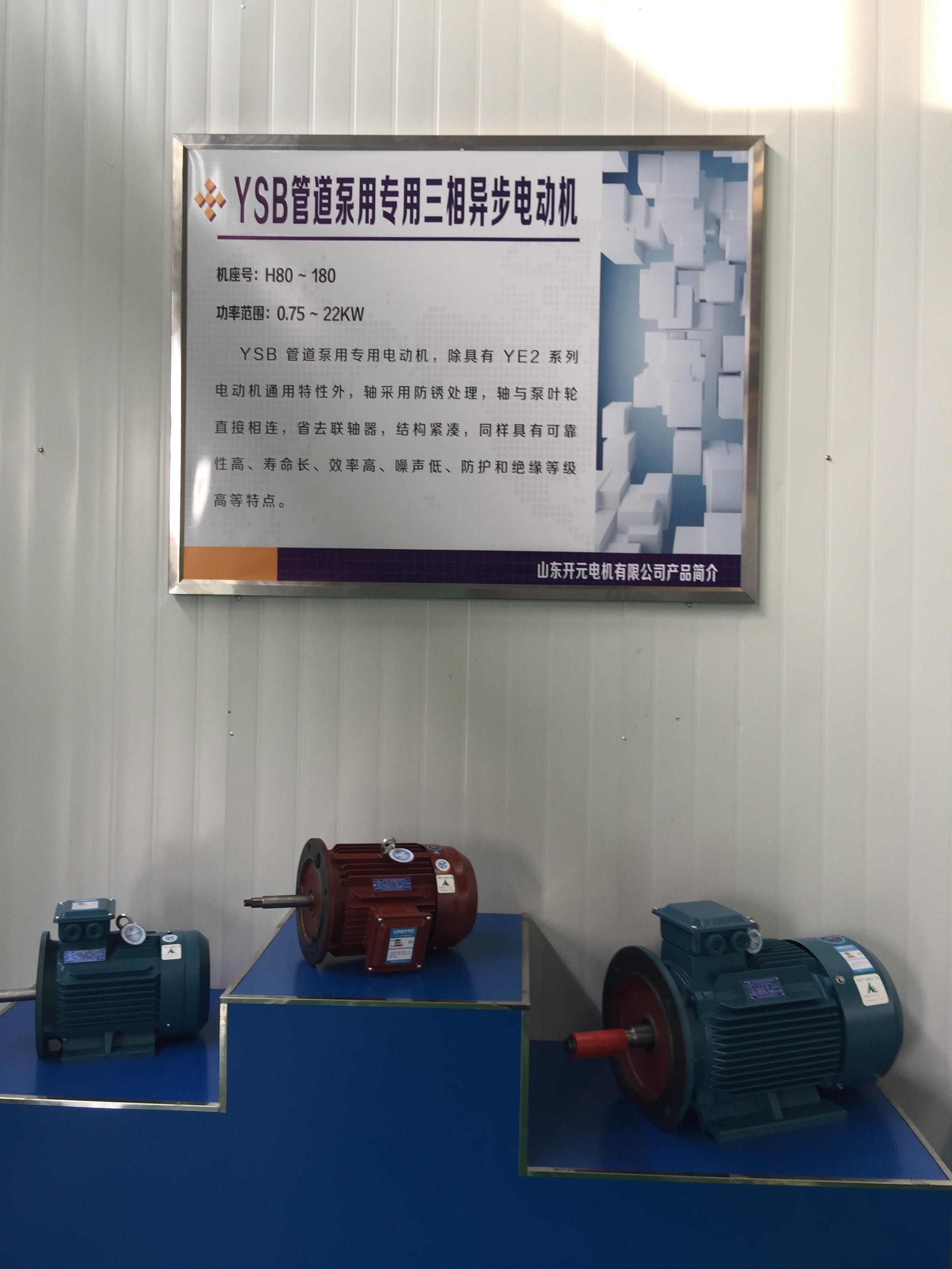 液壓泵專用電機圖片/液壓泵專用電機樣板圖 (4)