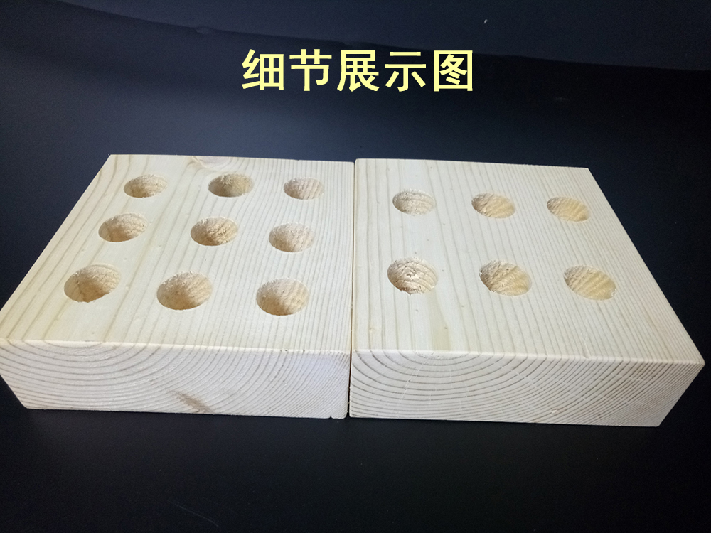 昆蟲針圖片/昆蟲針樣板圖 (2)
