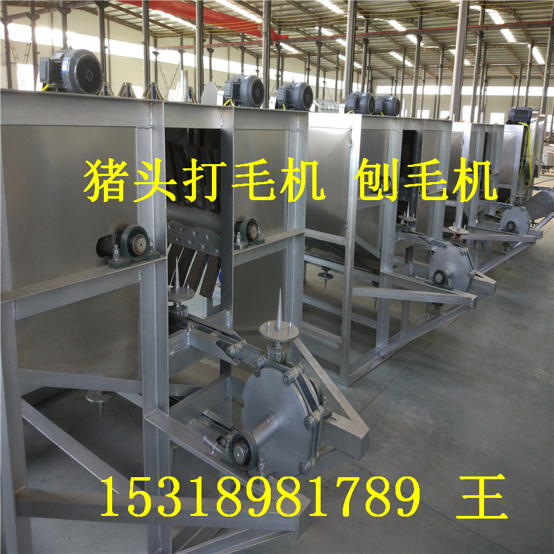 豬頭圖片/豬頭樣板圖 (2)