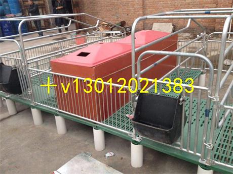 母豬分娩床圖片/母豬分娩床樣板圖 (2)