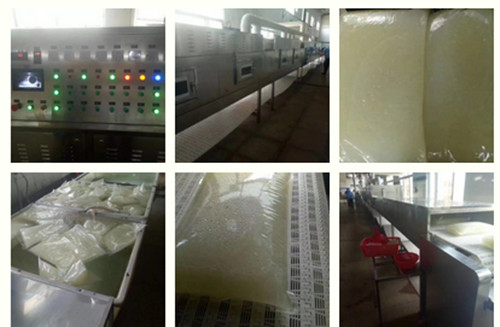 廣州蘆薈微波*機(jī)廠家