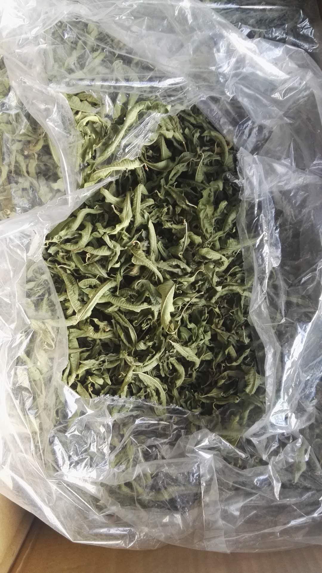 亳州市柠檬马鞭草厂家柠檬马鞭草批发价｜散装柠檬香茅香茅草价格｜散装花草茶宽叶柠檬草