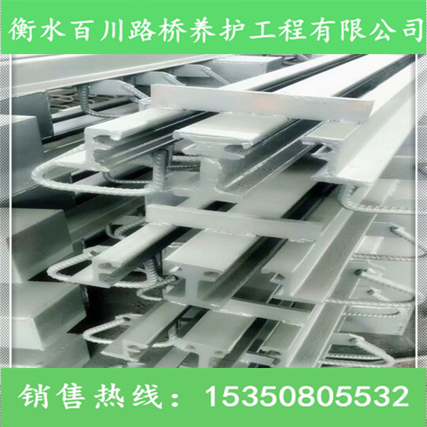 橋梁伸縮縫圖片/橋梁伸縮縫樣板圖 (1)