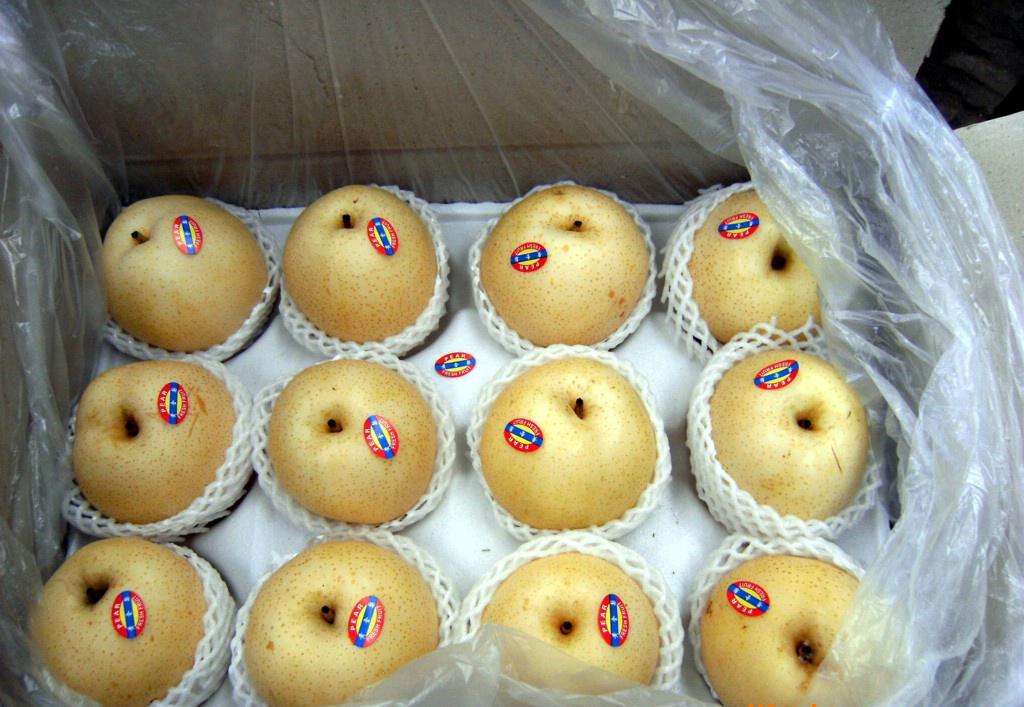 豐水梨圖片/豐水梨樣板圖 (2)