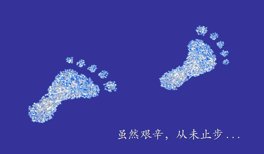 熱塑性彈性體圖片/熱塑性彈性體樣板圖 (4)