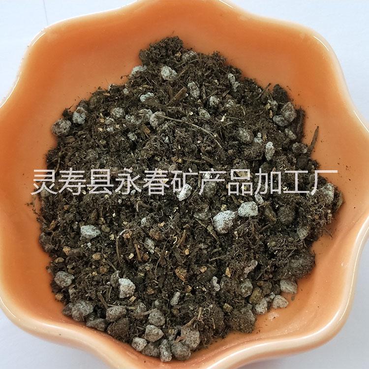基質(zhì)圖片/基質(zhì)樣板圖 (3)