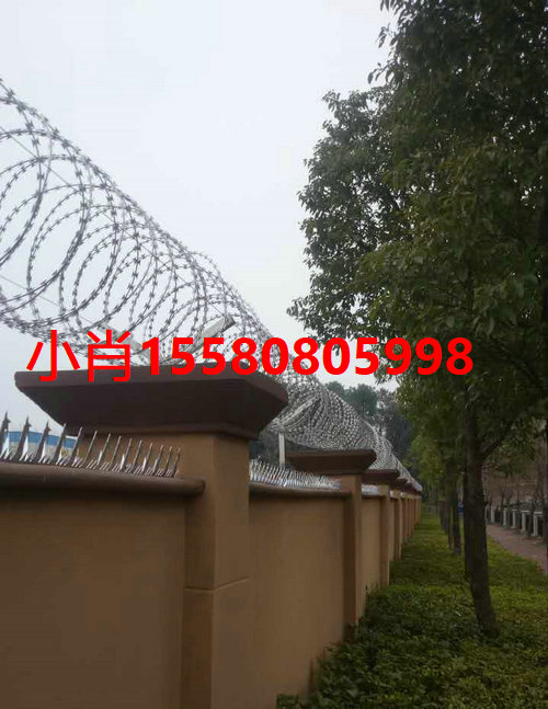 圍墻防爬刺，圍墻防爬效果好不好圖片