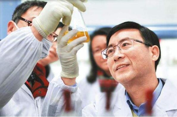 金鵬新燃油圖片