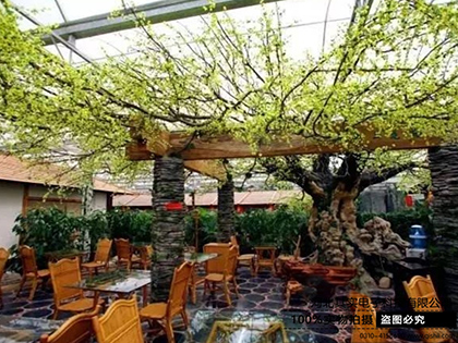 綠色生態(tài)圖片/綠色生態(tài)樣板圖 (4)