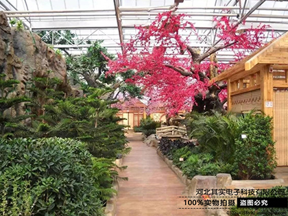 綠色生態(tài)圖片/綠色生態(tài)樣板圖 (1)