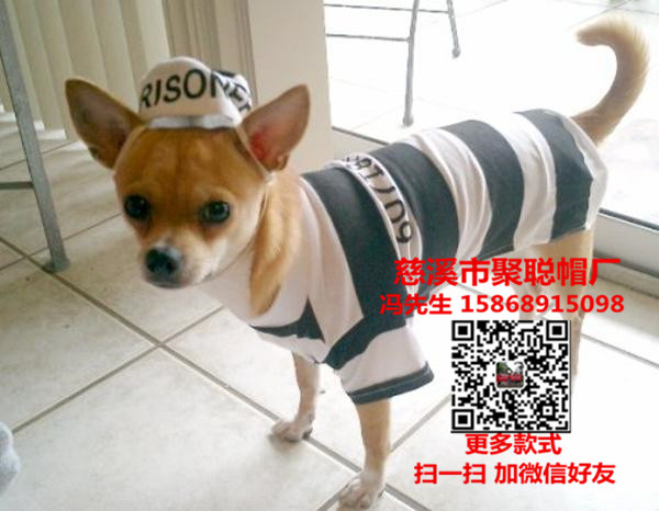 寵物用品價(jià)格寵物用品批發(fā)寵物用品廠家寵物帽定做聚聰帽廠