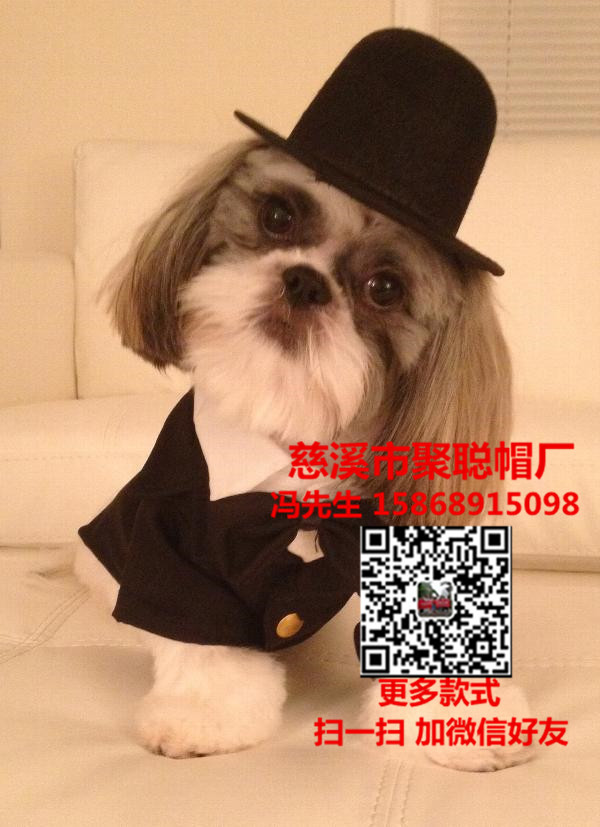 寵物用品圖片/寵物用品樣板圖 (4)