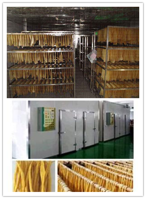 茉莉花圖片/茉莉花樣板圖 (2)