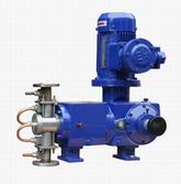 柱塞計量泵圖片/柱塞計量泵樣板圖 (1)