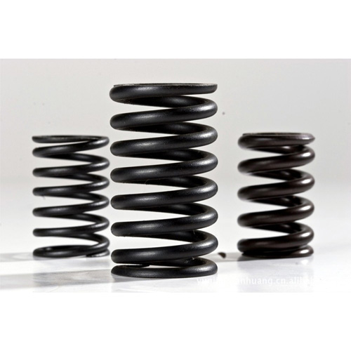 壓簧圖片/壓簧樣板圖 (2)