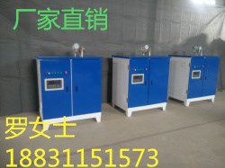 2018新款蒸汽發(fā)生器圖片/2018新款蒸汽發(fā)生器樣板圖 (3)