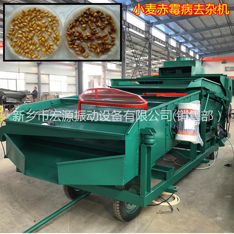 小麥圖片/小麥樣板圖 (2)