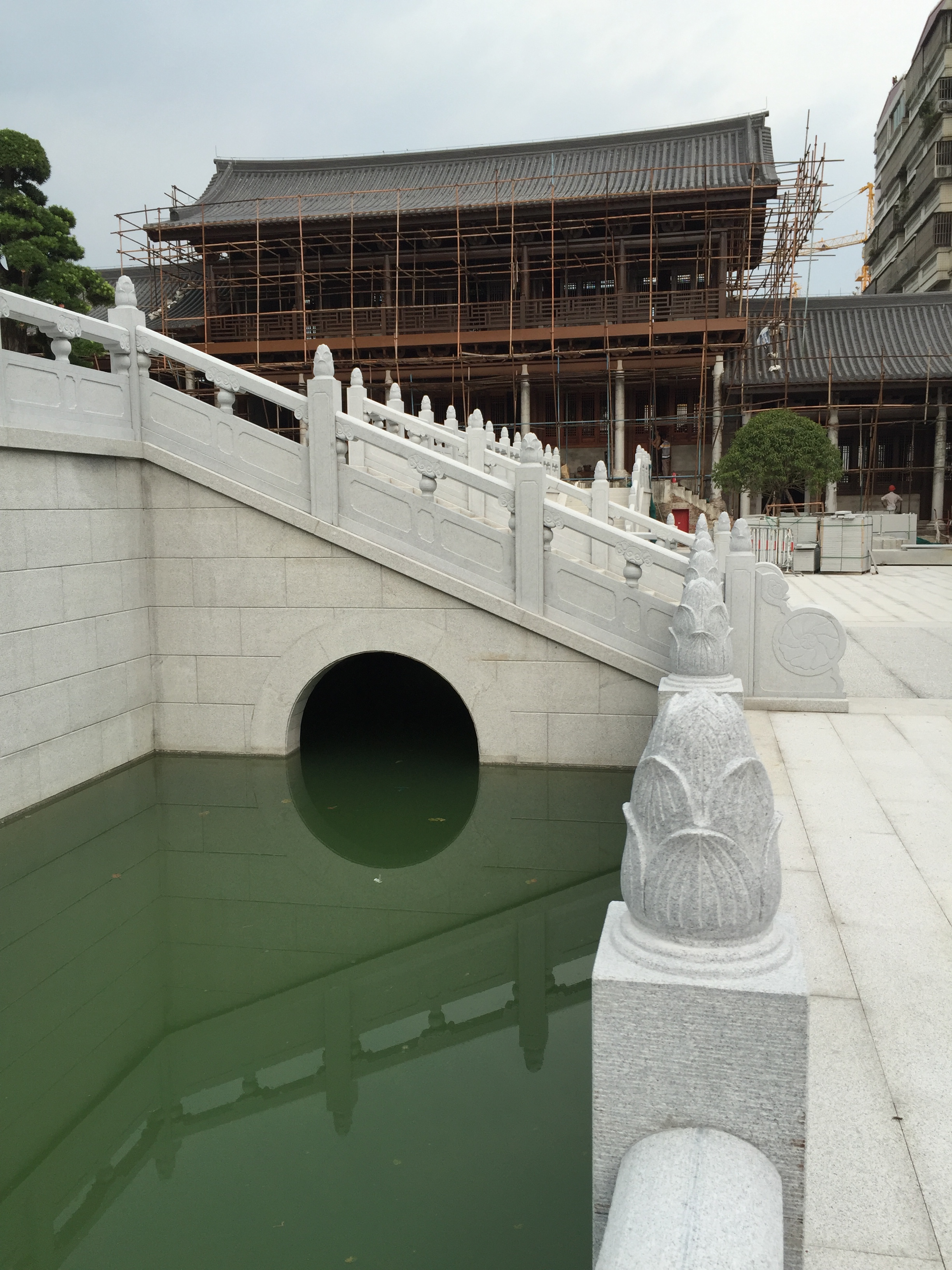 芝麻黑圖片/芝麻黑樣板圖 (2)