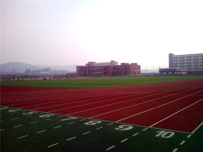 塑膠跑道鋪裝圖片/塑膠跑道鋪裝樣板圖 (2)