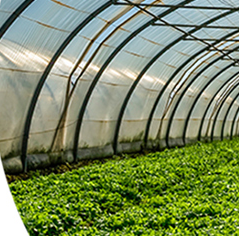 散光圖片/散光樣板圖 (3)