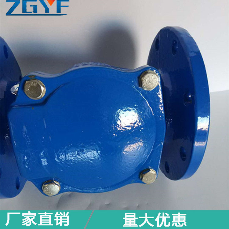 橡膠瓣止回閥圖片/橡膠瓣止回閥樣板圖 (2)