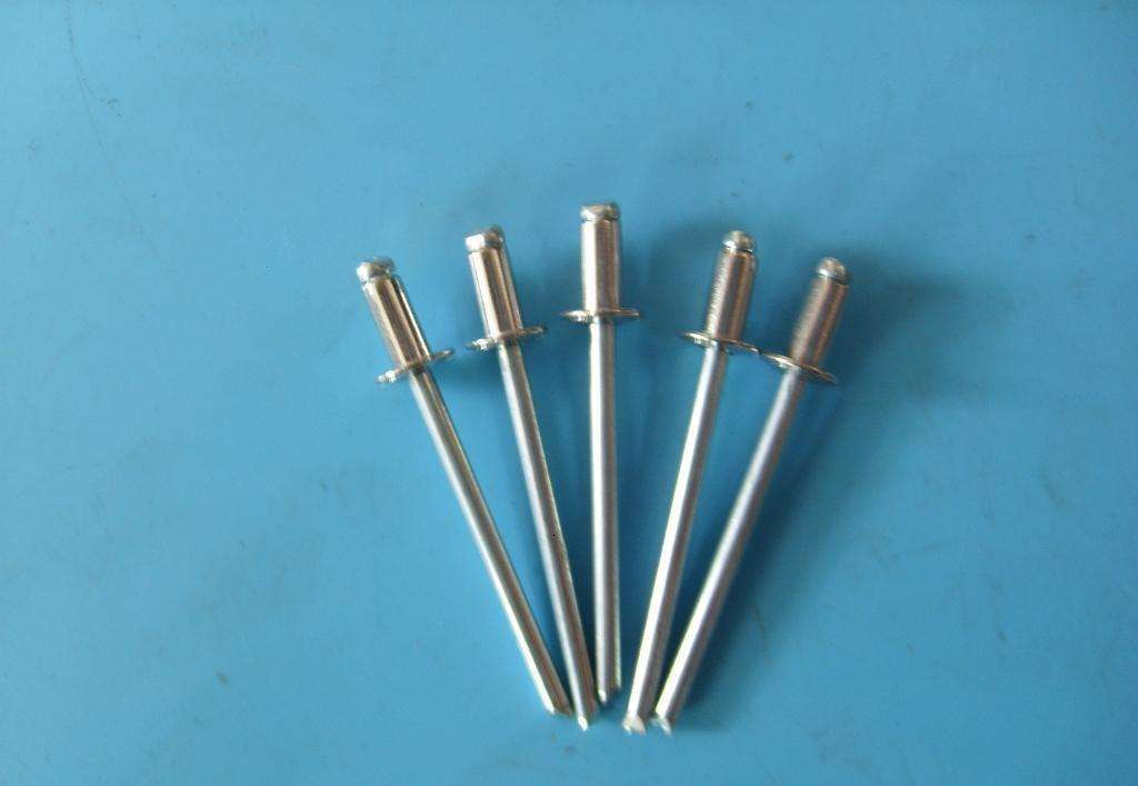 平頭拉鉚釘圖片/平頭拉鉚釘樣板圖 (2)