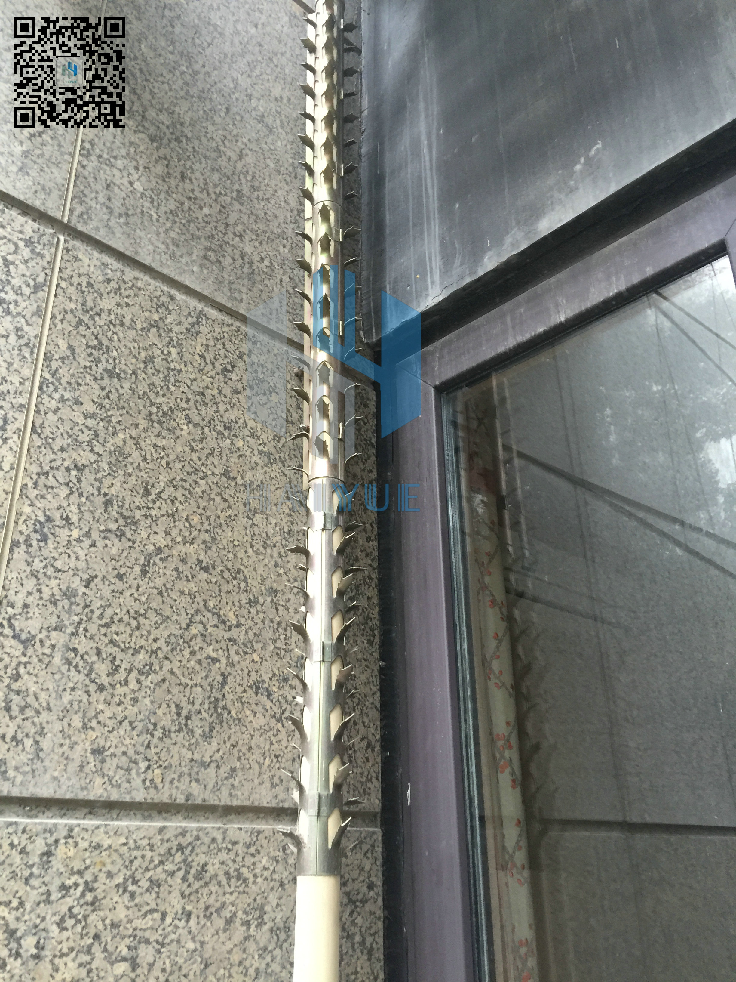 管道防爬刺圖片/管道防爬刺樣板圖 (3)