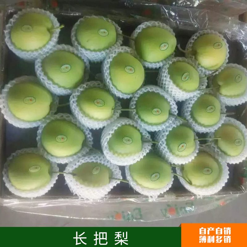 冠縣圖片/冠縣樣板圖 (2)