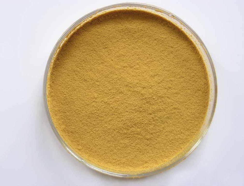 金銀花提取物圖片/金銀花提取物樣板圖 (4)