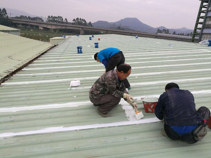 布吉卫生间防水补漏工程_石岩楼面防水装饰工程_龙华铁皮瓦防水工程图片