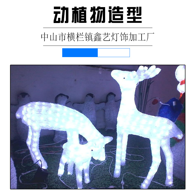 動植物圖片/動植物樣板圖 (4)