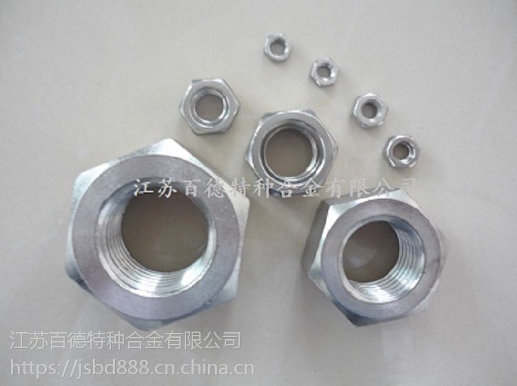 InconelX750外六角螺栓圖片/InconelX750外六角螺栓樣板圖 (4)