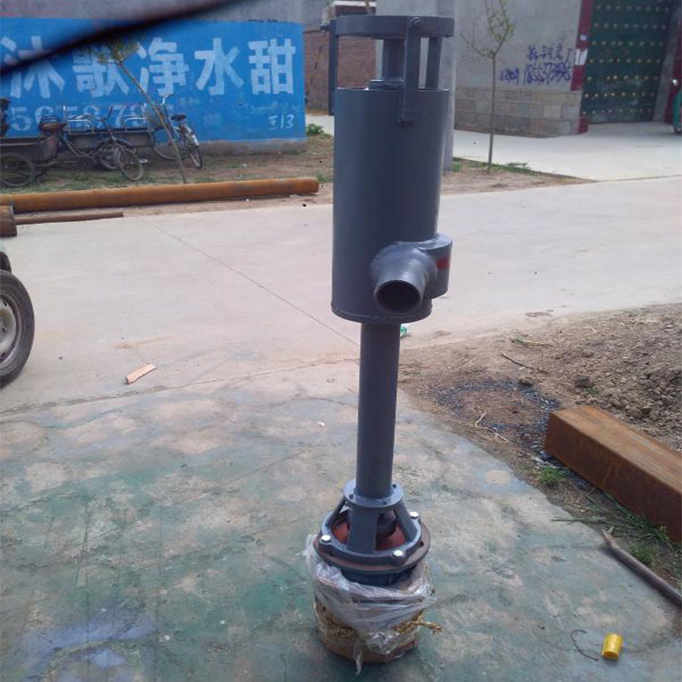 鴨糞雞糞輸送泵不堵塞可定制