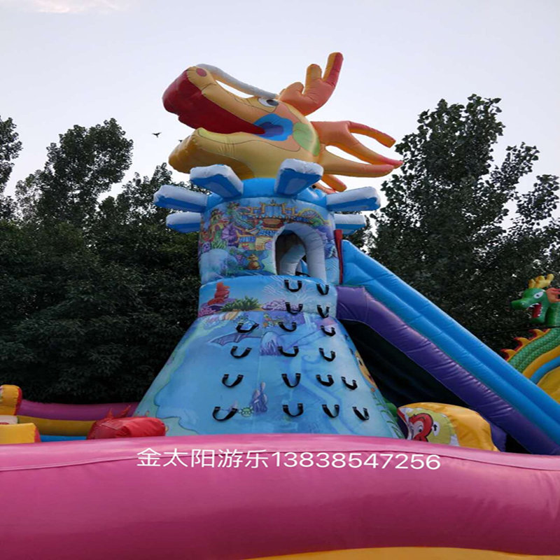 充氣玩具滑梯圖片/充氣玩具滑梯樣板圖 (4)