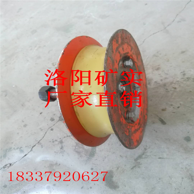 單雙托輪圖片/單雙托輪樣板圖 (3)