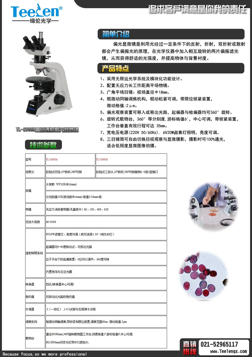 偏光顯微鏡圖片/偏光顯微鏡樣板圖 (4)