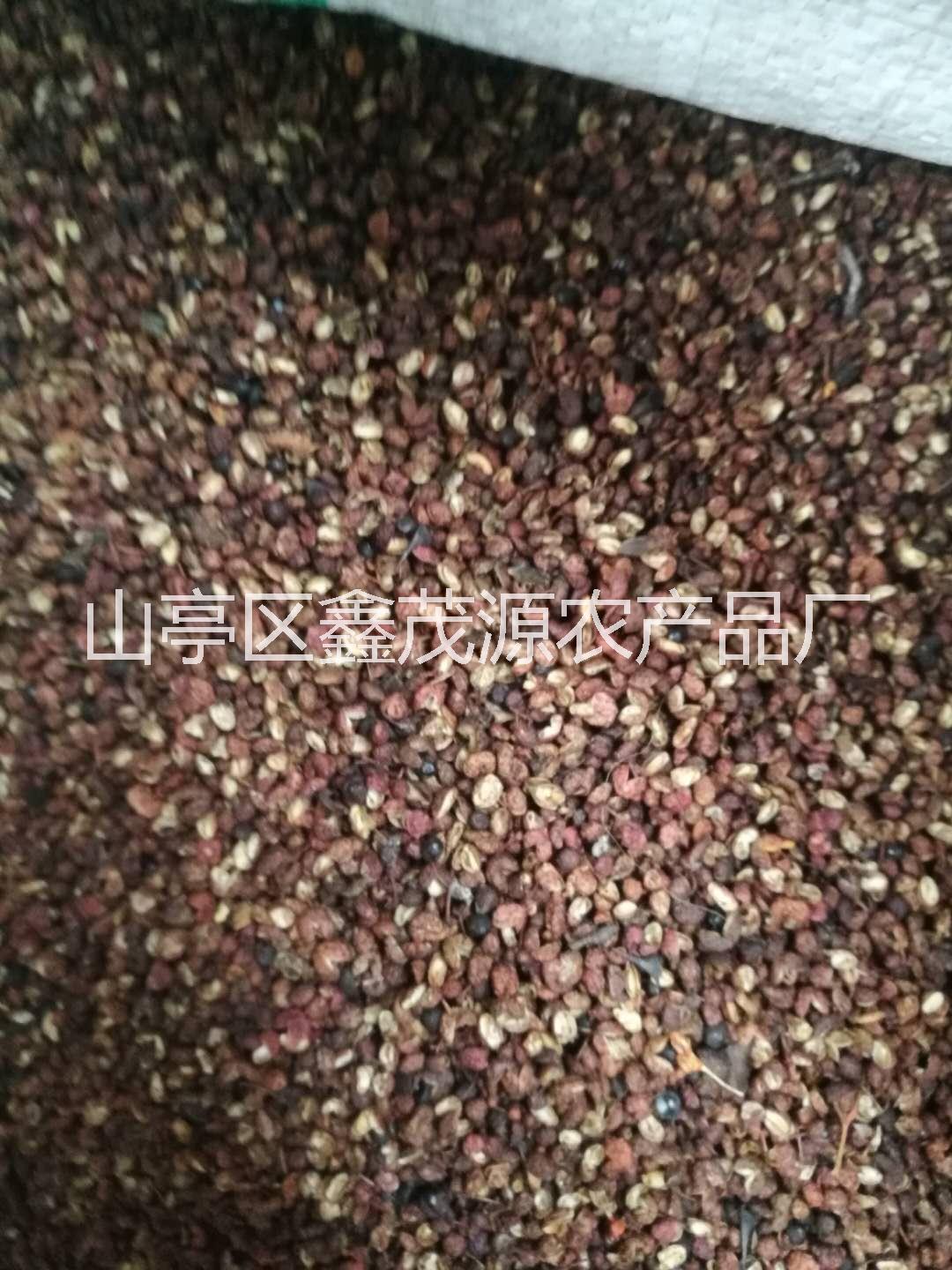 花椒圖片/花椒樣板圖 (2)