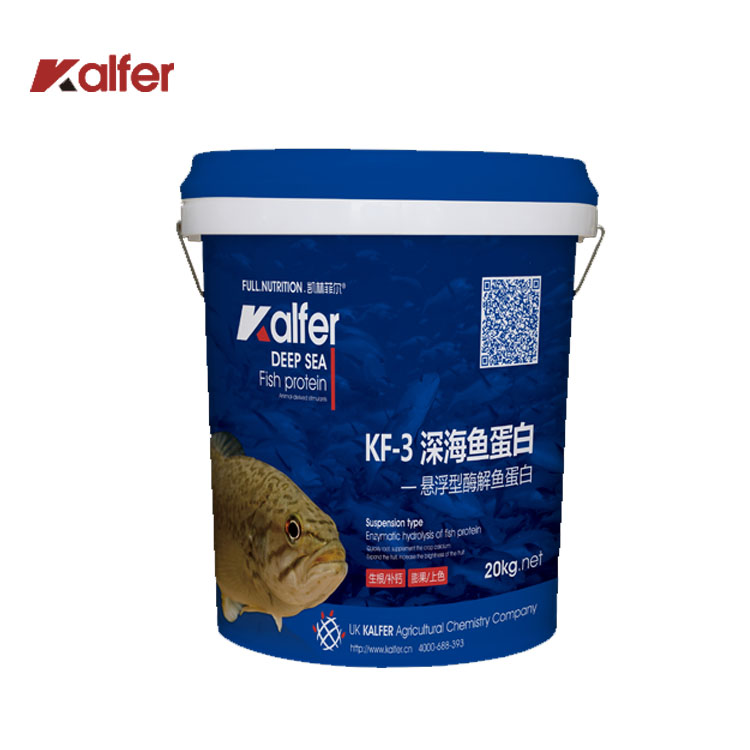 魚蛋白圖片/魚蛋白樣板圖 (2)