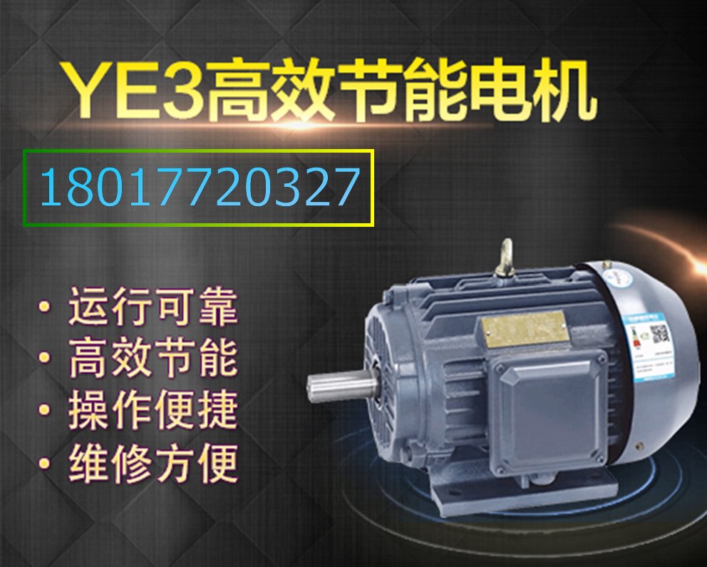 上海電機(jī)YE3高效電機(jī) YE3圖片/上海電機(jī)YE3高效電機(jī) YE3樣板圖 (3)