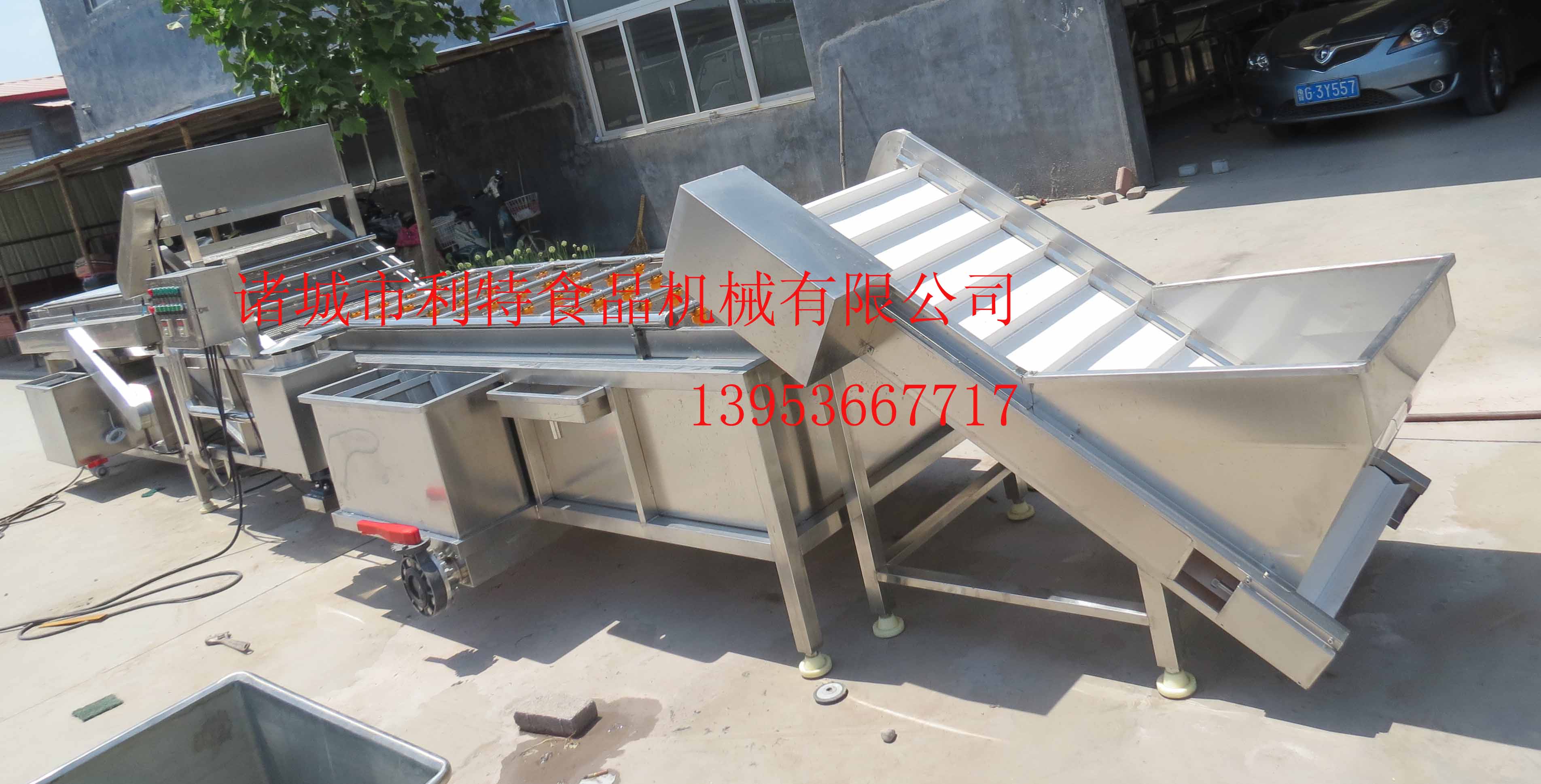 黃瓜圖片/黃瓜樣板圖 (4)