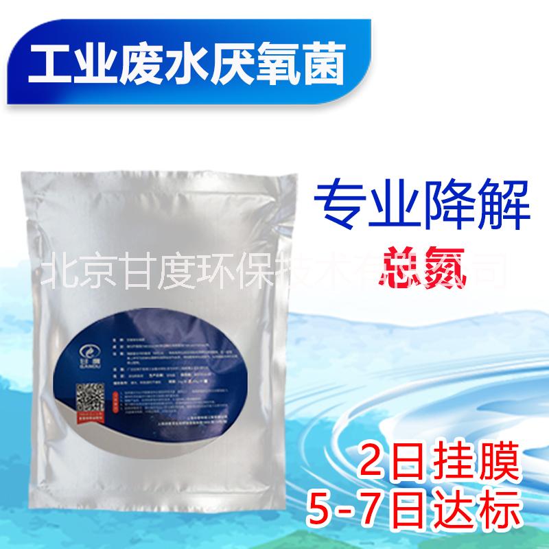 甘度工業(yè)廢水總氮去除菌劑厭氧菌圖片