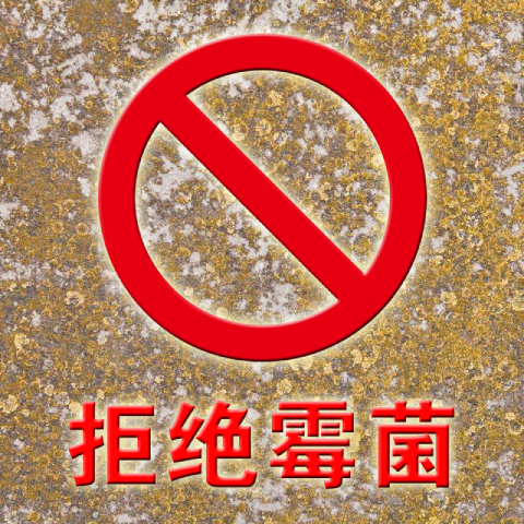 防霉除霉劑圖片/防霉除霉劑樣板圖 (2)