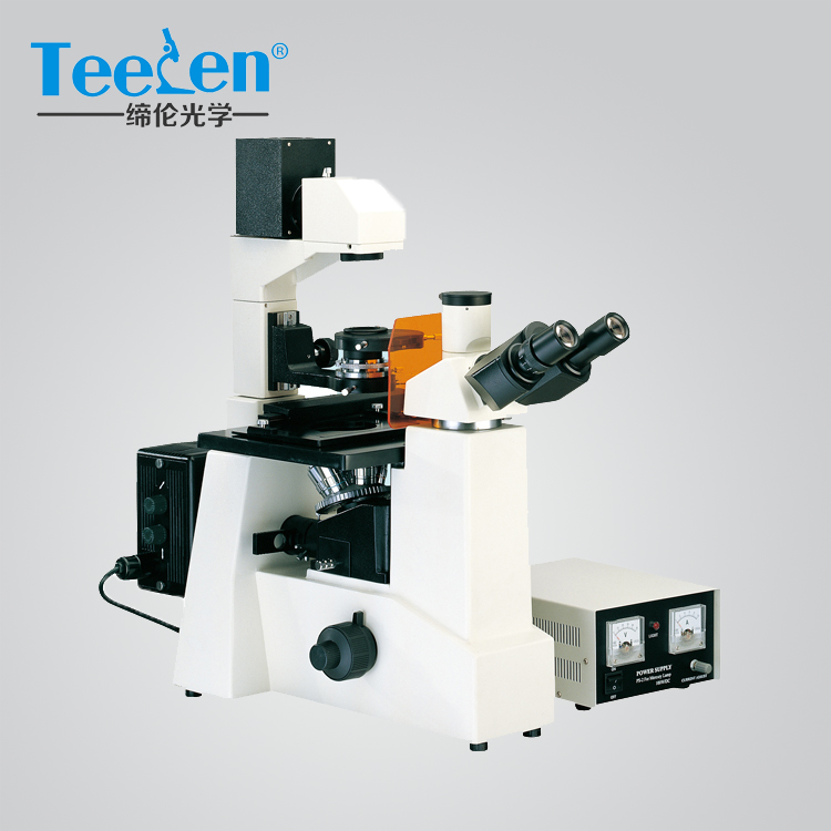 倒置熒光顯微鏡DXY-1供應(yīng) 安裝 調(diào)試