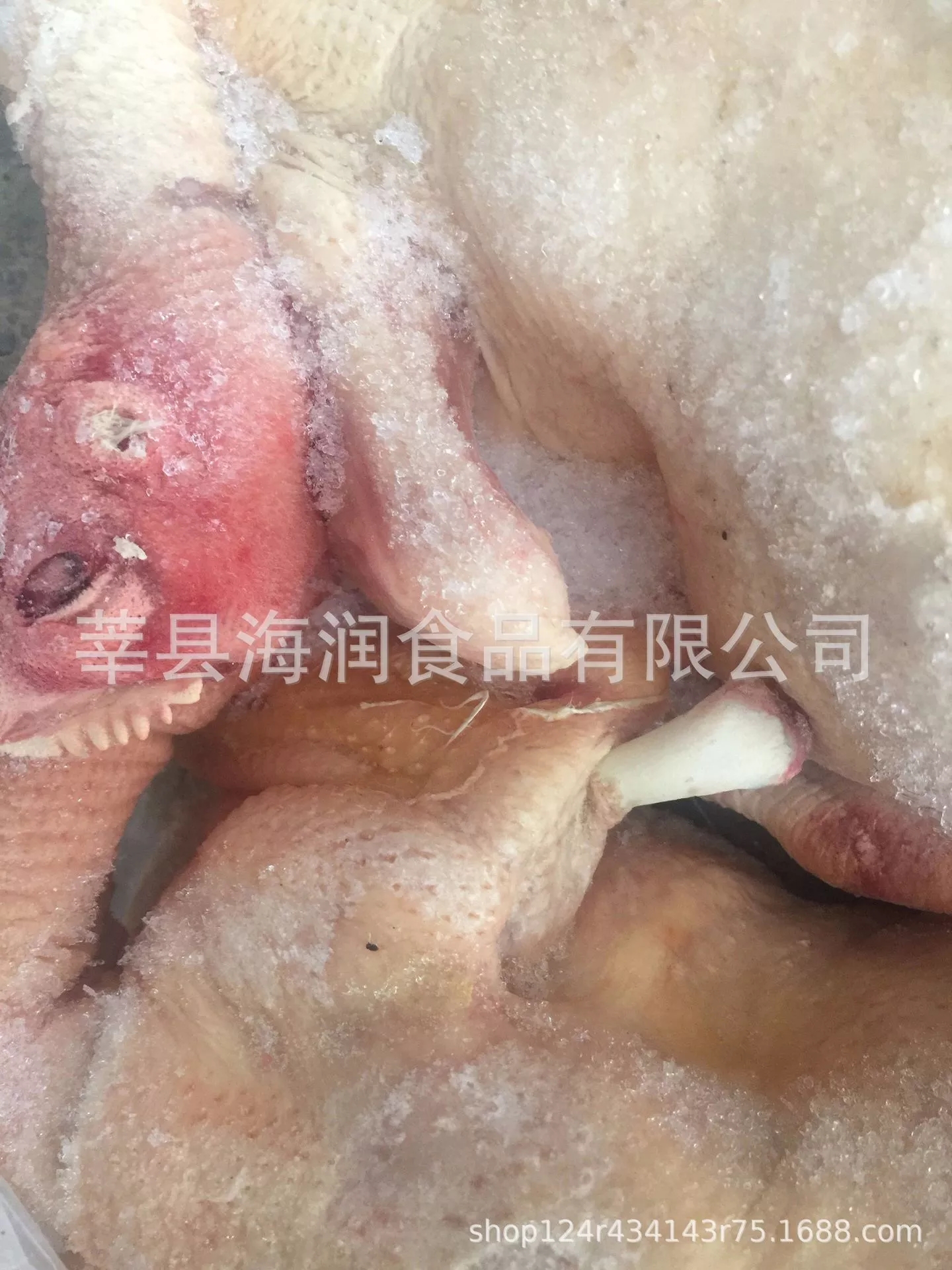 B級(jí)白條雞圖片/B級(jí)白條雞樣板圖 (3)