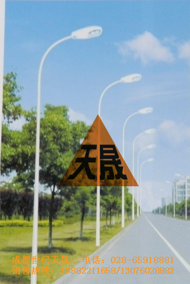 四川成都路燈生產(chǎn)制造圖片