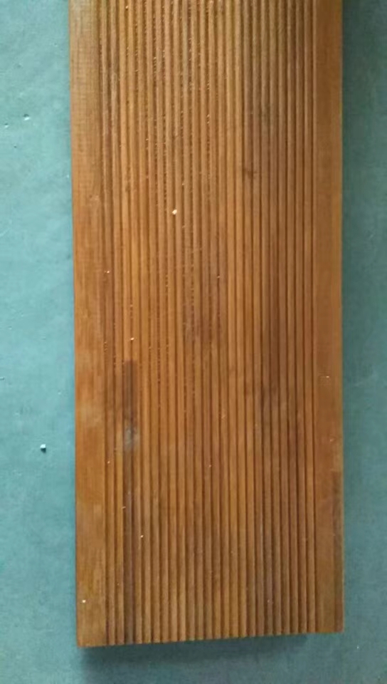 俄羅斯樟子松圖片/俄羅斯樟子松樣板圖 (3)